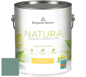 Benjamin Moore 512 Natura Interior Flat Finish матовая краска цвет NCS S 4020-B90G 