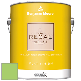 Benjamin Moore 547 Regal Select Waterborne Interior Flat Finish краска цвет NCS S 0560-G30Y 