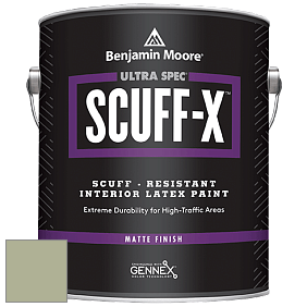 Benjamin Moore 484 Ultra Spec SCUFF-X Interior Matte Finish краска цвет 439 Palisades Park