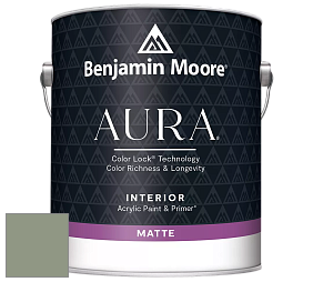 Benjamin Moore Aura 522 Interior Paint - Matte краска цвет 467 High Park