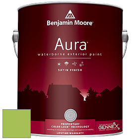 Benjamin Moore Aura 631 Waterborne Exterior Satin Finish краска цвет 419 Malachy Green