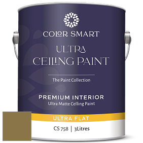 COLOR SMART CS 758 ULTRA CEILING PAINT ультраматовая краска цвет 2148-10 Foot Hills