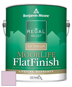 Benjamin Moore W105 Regal Select Exterior Paint-MoorLife Flat Finish краска цвет 1368 Baby's Mittens