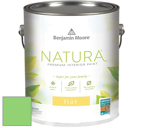 Benjamin Moore 512 Natura Interior Flat Finish матовая краска цвет NCS S 0560-G20Y 