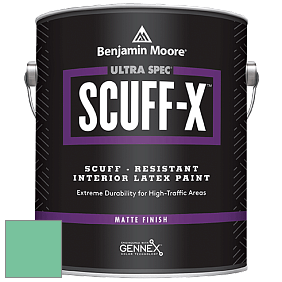 Benjamin Moore 484 Ultra Spec SCUFF-X Interior Matte Finish краска цвет 2038-40 Monmouth Green