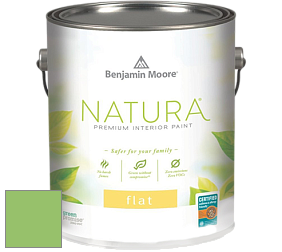 Benjamin Moore 512 Natura Interior Flat Finish матовая краска цвет 558 Killala Green