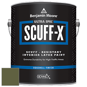 Benjamin Moore 485 Ultra Spec SCUFF-X Interior Eggshell Finish краска цвет NCS S 6030-G50Y 