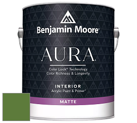 Benjamin Moore Aura 522 Interior Paint - Matte краска цвет NCS S 3560-G30Y 