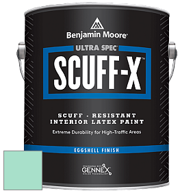 Benjamin Moore 485 Ultra Spec SCUFF-X Interior Eggshell Finish краска цвет 612 Hills of Ireland