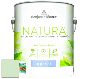 Benjamin Moore 513 Natura Interior Eggshell Finish краска с блеском цвет NCS S 0520-G20Y 