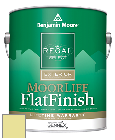 Benjamin Moore W105 Regal Select Exterior Paint-MoorLife Flat Finish краска цвет 2027-50 Hibiscus
