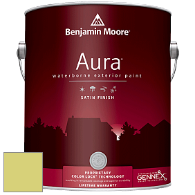 Benjamin Moore Aura 631 Waterborne Exterior Satin Finish краска цвет 403 Candy Green