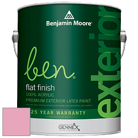 Benjamin Moore Ben 541 Waterborne Exterior Flat Finish краска цвет 2004-50 Baby Girl