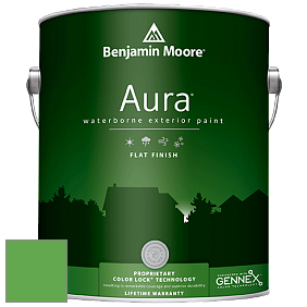 Benjamin Moore Aura 629 Waterborne Exterior Flat Finish краска цвет 2033-30 Fresh Scent Green