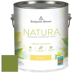 Benjamin Moore 512 Natura Interior Flat Finish матовая краска цвет NCS S 3060-G40Y 