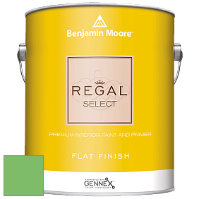 Benjamin Moore 547 Regal Select Waterborne Interior Flat Finish краска цвет NCS S 1060-G20Y 