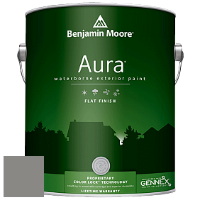 Benjamin Moore Aura 629 Waterborne Exterior Flat Finish краска цвет AF-710 