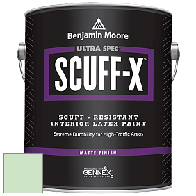Benjamin Moore 484 Ultra Spec SCUFF-X Interior Matte Finish краска цвет 569 Nottingham Green