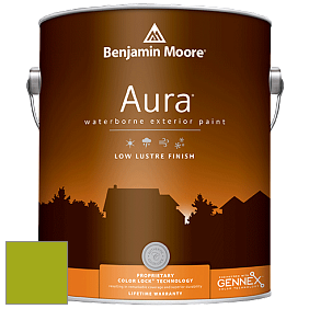 Benjamin Moore Aura 634 Waterborne Exterior Low Lustre Finish краска цвет 2027-10 Dark Lime