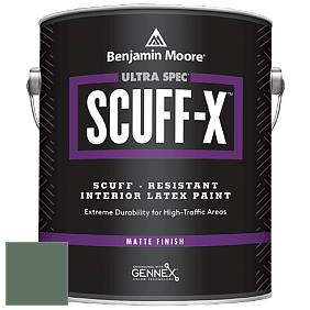 Benjamin Moore 484 Ultra Spec SCUFF-X Interior Matte Finish краска цвет 637 Gothic Green