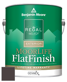 Benjamin Moore W105 Regal Select Exterior Paint-MoorLife Flat Finish краска цвет AF-180 