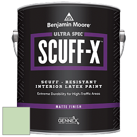 Benjamin Moore 484 Ultra Spec SCUFF-X Interior Matte Finish краска цвет 549 Honeydew