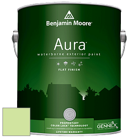 Benjamin Moore Aura 629 Waterborne Exterior Flat Finish краска цвет 2031-50 Key Lime