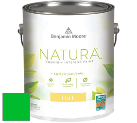 Benjamin Moore 512 Natura Interior Flat Finish матовая краска цвет RAL 6038 