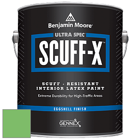 Benjamin Moore 485 Ultra Spec SCUFF-X Interior Eggshell Finish краска цвет NCS S 1060-G20Y 