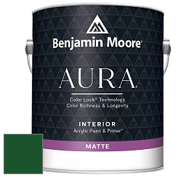 Benjamin Moore Aura 522 Interior Paint - Matte краска цвет RAL 6035 
