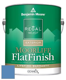 Benjamin Moore W105 Regal Select Exterior Paint-MoorLife Flat Finish краска цвет 818 Watertown