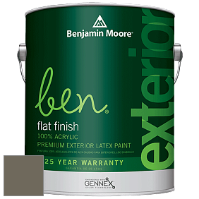 Benjamin Moore Ben 541 Waterborne Exterior Flat Finish краска цвет 1561 Castle Peak Gray