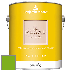 Benjamin Moore 547 Regal Select Waterborne Interior Flat Finish краска цвет 2031-20 Paradise Green