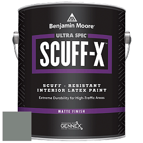 Benjamin Moore 484 Ultra Spec SCUFF-X Interior Matte Finish краска цвет 1567 Night Train