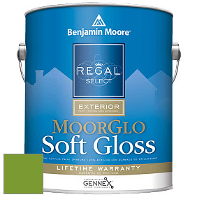Benjamin Moore W096 Regal Select Exterior Paint-Moor GloSoft Gloss Finish краска цвет 2029-20 Baby Fern