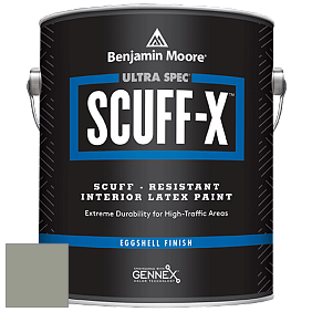 Benjamin Moore 485 Ultra Spec SCUFF-X Interior Eggshell Finish краска цвет NCS S 4005-G50Y 