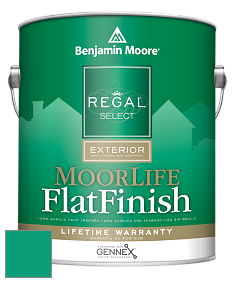 Benjamin Moore W105 Regal Select Exterior Paint-MoorLife Flat Finish краска цвет 2046-30 Cayman Lagoon