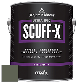 Benjamin Moore 484 Ultra Spec SCUFF-X Interior Matte Finish краска цвет 469 Backwoods