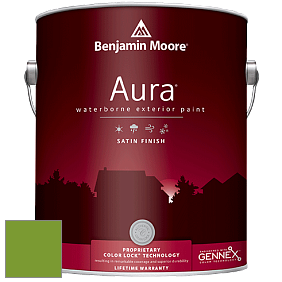 Benjamin Moore Aura 631 Waterborne Exterior Satin Finish краска цвет 2029-20 Baby Fern