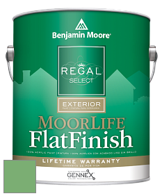 Benjamin Moore W105 Regal Select Exterior Paint-MoorLife Flat Finish краска цвет 573 Four Leaf Clover