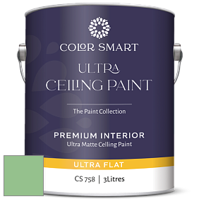 COLOR SMART CS 758 ULTRA CEILING PAINT ультраматовая краска цвет 572 Branch Brook Green