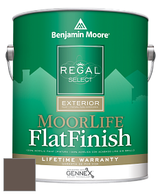 Benjamin Moore W105 Regal Select Exterior Paint-MoorLife Flat Finish краска цвет AF-170 
