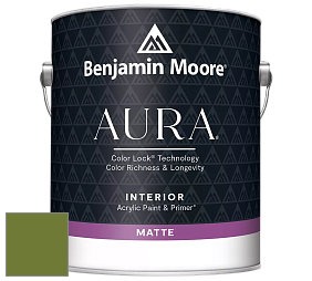 Benjamin Moore Aura 522 Interior Paint - Matte краска цвет NCS S 3560-G40Y 
