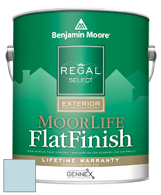 Benjamin Moore W105 Regal Select Exterior Paint-MoorLife Flat Finish краска цвет 834 Bright and Early