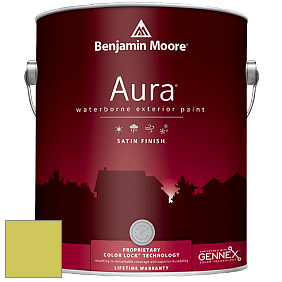 Benjamin Moore Aura 631 Waterborne Exterior Satin Finish краска цвет 404 Electric Slide