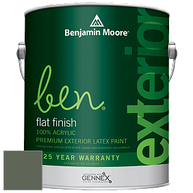 Benjamin Moore Ben 541 Waterborne Exterior Flat Finish краска цвет AF-480 