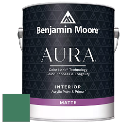 Benjamin Moore Aura 522 Interior Paint - Matte краска цвет 2040-30 Very Green