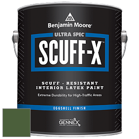 Benjamin Moore 485 Ultra Spec SCUFF-X Interior Eggshell Finish краска цвет NCS S 5540-G30Y 
