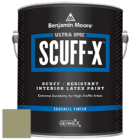 Benjamin Moore 485 Ultra Spec SCUFF-X Interior Eggshell Finish краска цвет 482 Misted Fern