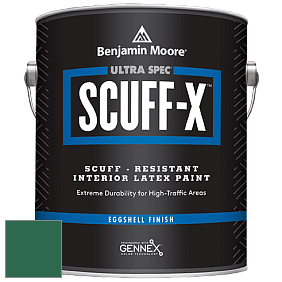 Benjamin Moore 485 Ultra Spec SCUFF-X Interior Eggshell Finish краска цвет 2042-10 True Green